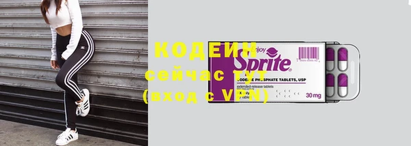 тгк Арсеньев