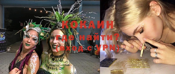 тгк Арсеньев