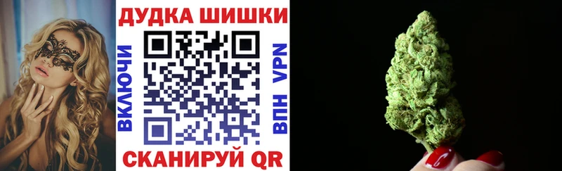 Купить где  Благодарный  Шишки марихуана конопля 